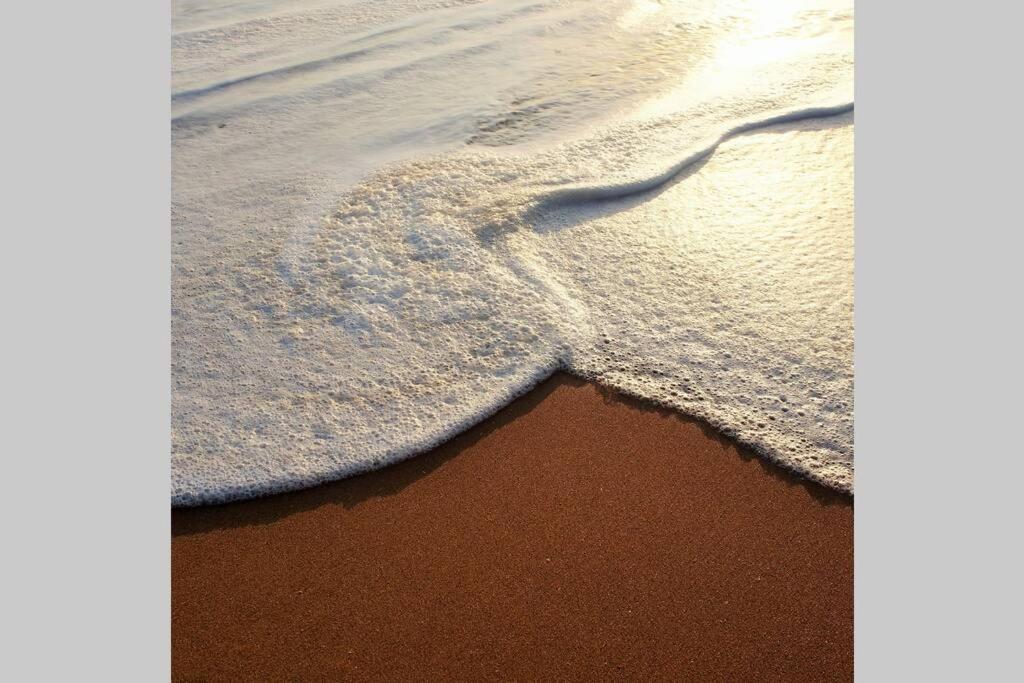 Holiday home Seagrass On The Beach *