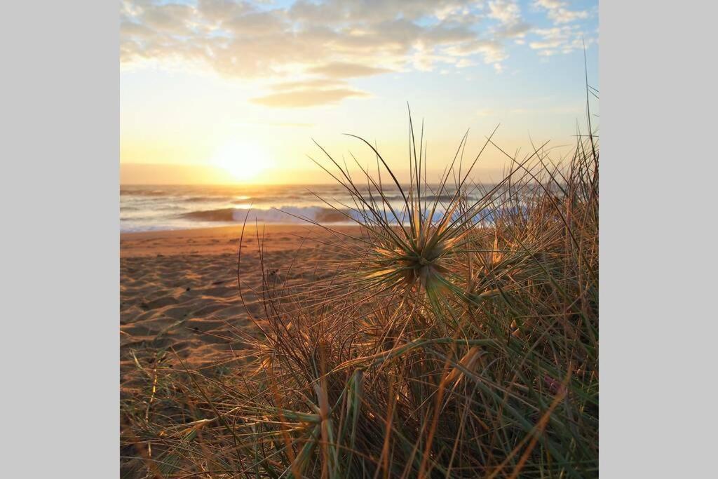 Holiday home Seagrass On The Beach