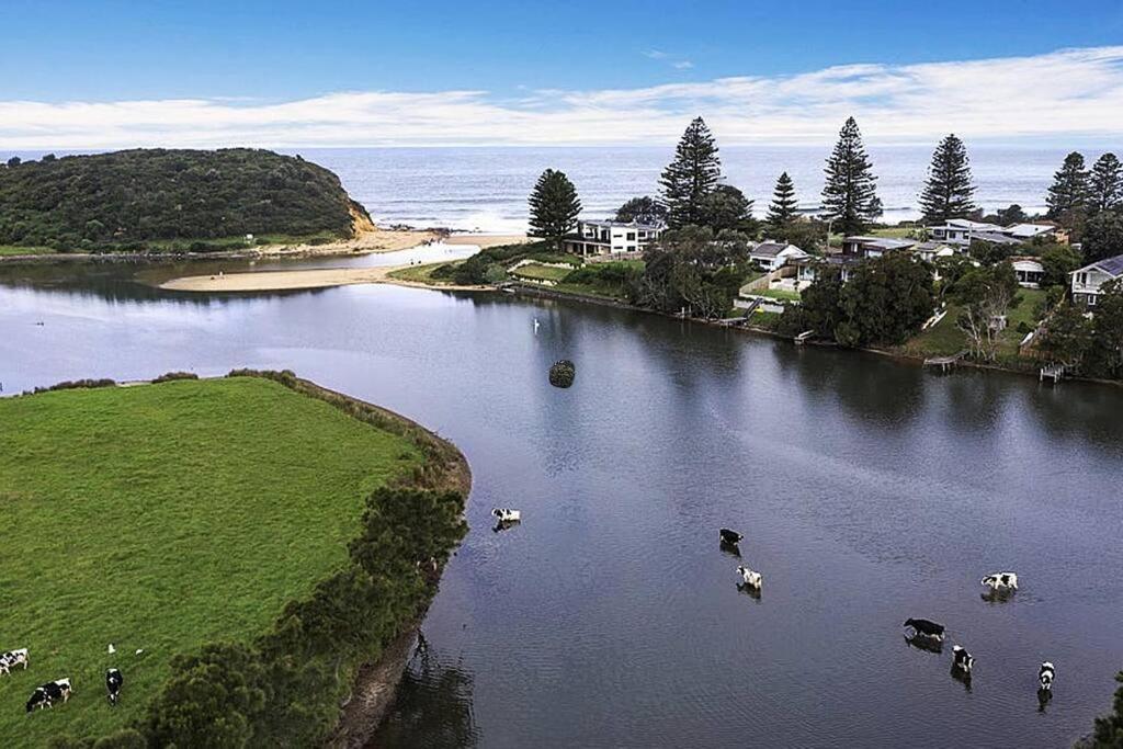 Seaview At - 4pm Check Out If Available Holiday home Gerringong