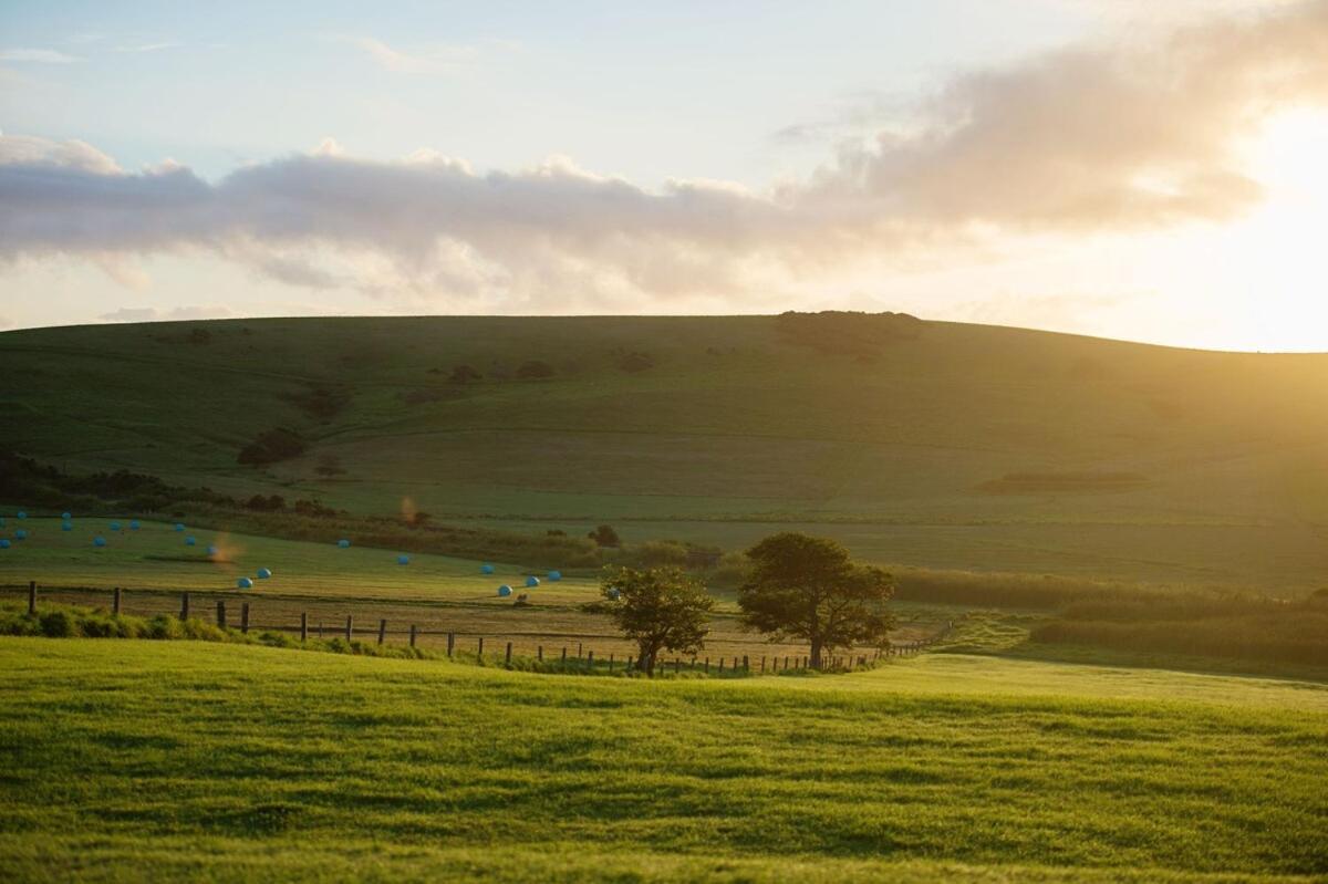 Holiday home Seacliff House 10 Bedrooms With Ocean & Dairy Country Views *